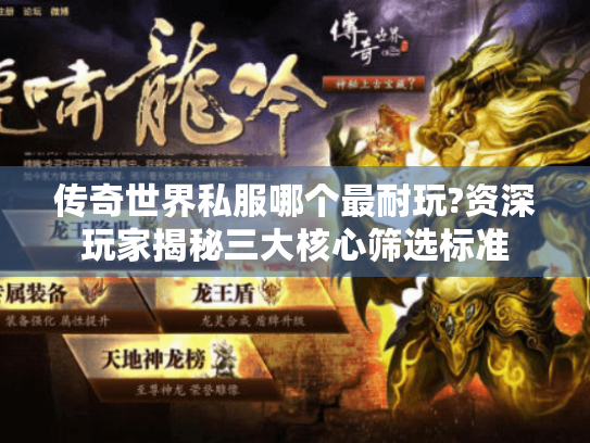 传奇世界私服哪个最耐玩?资深玩家揭秘三大核心筛选标准 传奇世界私服哪个最耐玩?资深玩家揭秘三大核心筛选标准