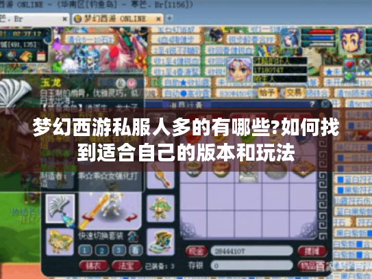 梦幻西游私服人多的有哪些?如何找到适合自己的版本和玩法