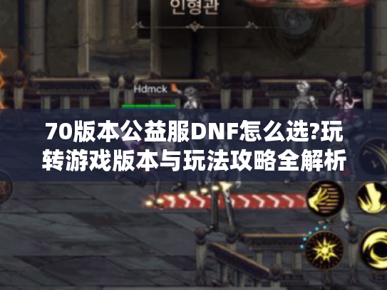 70版本公益服DNF怎么选?玩转游戏版本与玩法攻略全解析