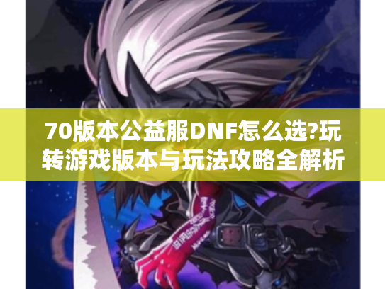 70版本公益服DNF怎么选?玩转游戏版本与玩法攻略全解析