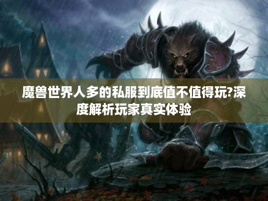 魔兽世界人多的私服到底值不值得玩?深度解析玩家真实体验