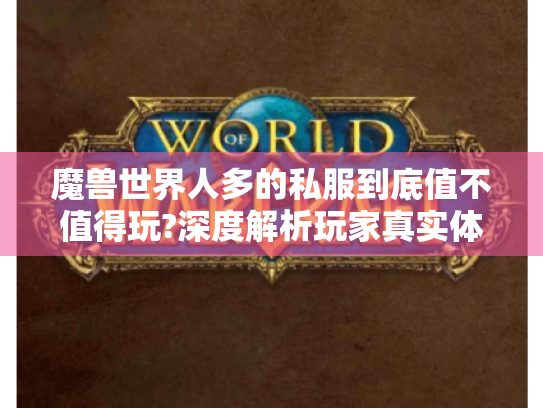 魔兽世界人多的私服到底值不值得玩?深度解析玩家真实体验