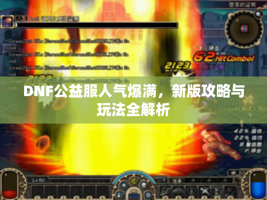 DNF公益服人气爆满,新版攻略与玩法全解析 DNF公益服人气爆满,新版攻略与玩法全解析