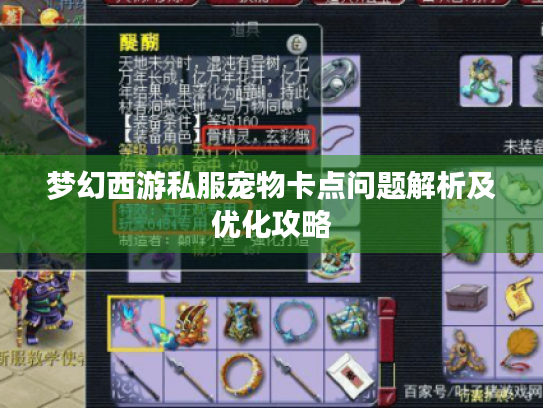 梦幻西游私服宠物卡点问题解析及优化攻略 梦幻西游私服宠物卡点问题解析及优化攻略