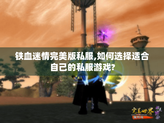 铁血迷情完美版私服,如何选择适合自己的私服游戏?
