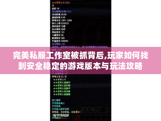 完美私服工作室被抓背后,玩家如何找到安全稳定的游戏版本与玩法攻略 完美私服工作室被抓背后,玩家如何找到安全稳定的游戏版本与玩法攻略