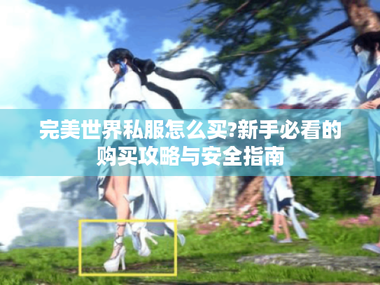完美世界私服怎么买?新手必看的购买攻略与安全指南