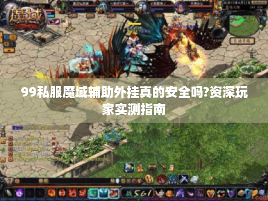 99私服魔域辅助外挂真的安全吗?资深玩家实测指南 99私服魔域辅助外挂真的安全吗?资深玩家实测指南