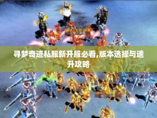 寻梦奇迹私服新开服必看,版本选择与速升攻略
