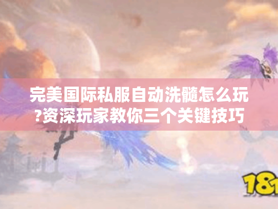 完美国际私服自动洗髓怎么玩?资深玩家教你三个关键技巧 完美国际私服自动洗髓怎么玩?资深玩家教你三个关键技巧