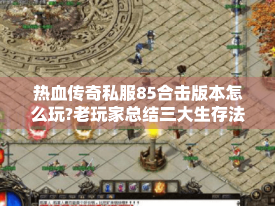 热血传奇私服85合击版本怎么玩?老玩家总结三大生存法则 热血传奇私服85合击版本怎么玩?老玩家总结三大生存法则