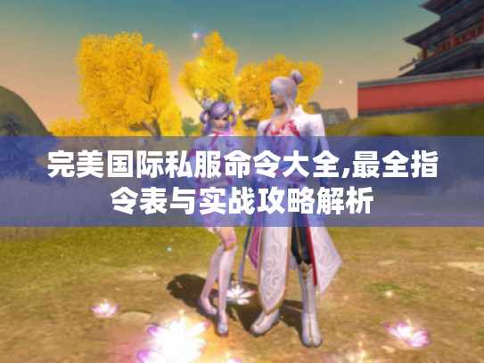 完美国际私服命令大全,最全指令表与实战攻略解析 完美国际私服命令大全,最全指令表与实战攻略解析