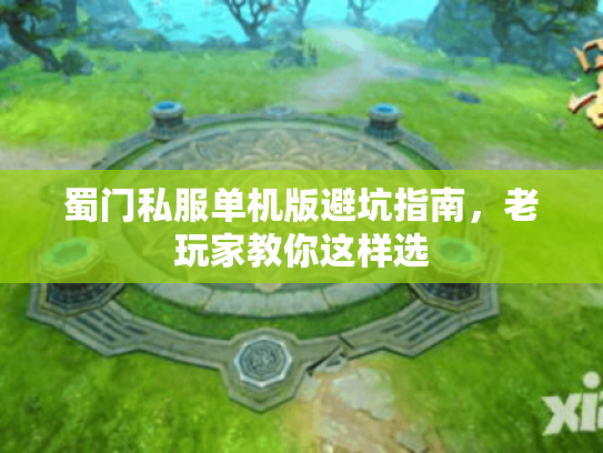 蜀门私服单机版避坑指南，老玩家教你这样选