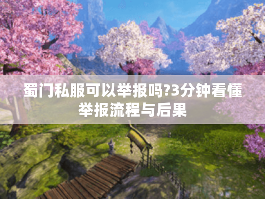 蜀门私服可以举报吗?3分钟看懂举报流程与后果