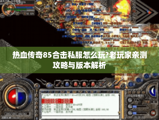 热血传奇85合击私服怎么玩?老玩家亲测攻略与版本解析 热血传奇85合击私服怎么玩?老玩家亲测攻略与版本解析