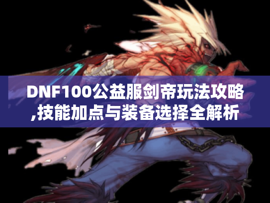 DNF100公益服剑帝玩法攻略,技能加点与装备选择全解析 DNF100公益服剑帝玩法攻略,技能加点与装备选择全解析