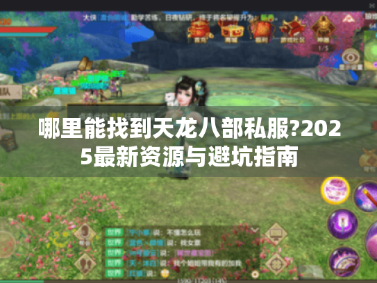哪里能找到天龙八部私服?2025最新资源与避坑指南 哪里能找到天龙八部私服?2025最新资源与避坑指南
