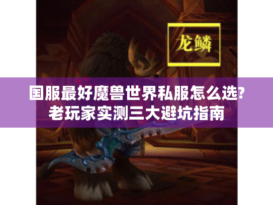 国服最好魔兽世界私服怎么选?老玩家实测三大避坑指南 国服最好魔兽世界私服怎么选?老玩家实测三大避坑指南
