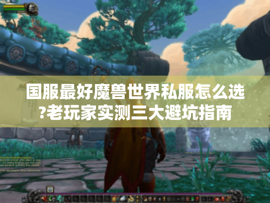 国服最好魔兽世界私服怎么选?老玩家实测三大避坑指南 国服最好魔兽世界私服怎么选?老玩家实测三大避坑指南