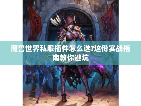 魔兽世界私服插件怎么选?这份实战指南教你避坑