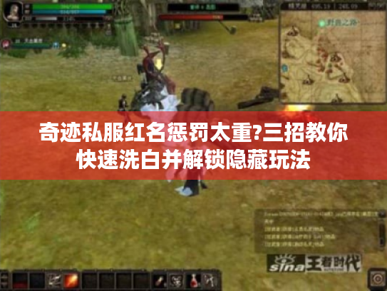 奇迹私服红名惩罚太重?三招教你快速洗白并解锁隐藏玩法 奇迹私服红名惩罚太重?三招教你快速洗白并解锁隐藏玩法