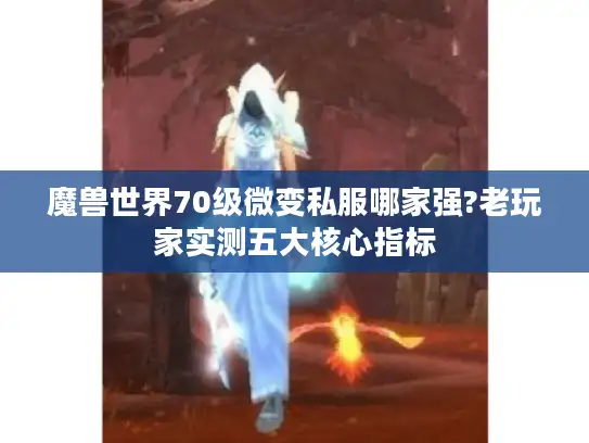 魔兽世界70级微变私服哪家强?老玩家实测五大核心指标