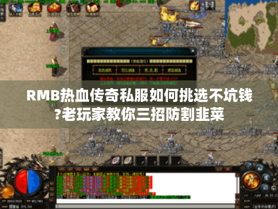 RMB热血传奇私服如何挑选不坑钱?老玩家教你三招防割韭菜 RMB热血传奇私服如何挑选不坑钱?老玩家教你三招防割韭菜