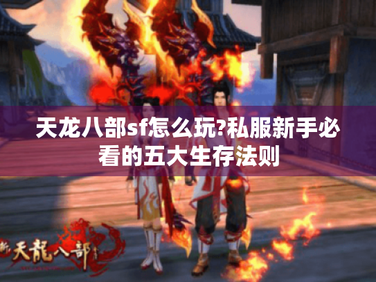 天龙八部sf怎么玩?私服新手必看的五大生存法则