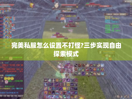 完美私服怎么设置不打怪?三步实现自由探索模式 完美私服怎么设置不打怪?三步实现自由探索模式