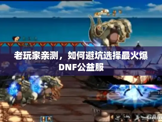 老玩家亲测,如何避坑选择最火爆DNF公益服 老玩家亲测,如何避坑选择最火爆DNF公益服