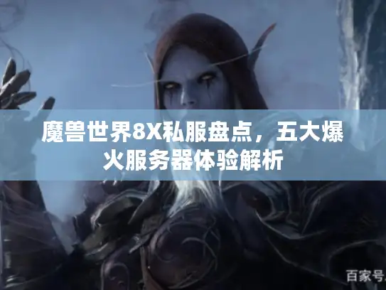 魔兽世界8X私服盘点，五大爆火服务器体验解析
