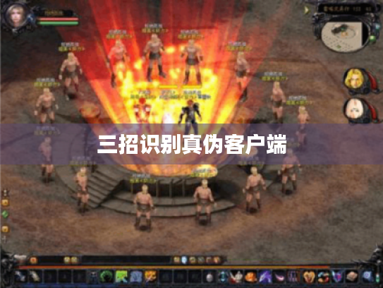 三招识别真伪客户端 三招识别真伪客户端