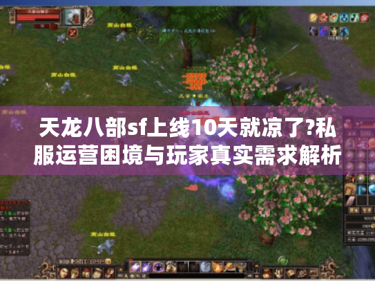 天龙八部sf上线10天就凉了?私服运营困境与玩家真实需求解析 天龙八部sf上线10天就凉了?私服运营困境与玩家真实需求解析