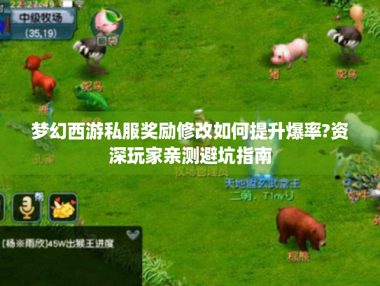 梦幻西游私服奖励修改如何提升爆率?资深玩家亲测避坑指南 梦幻西游私服奖励修改如何提升爆率?资深玩家亲测避坑指南