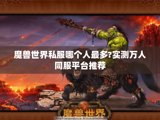 魔兽世界私服哪个人最多?实测万人同服平台推荐