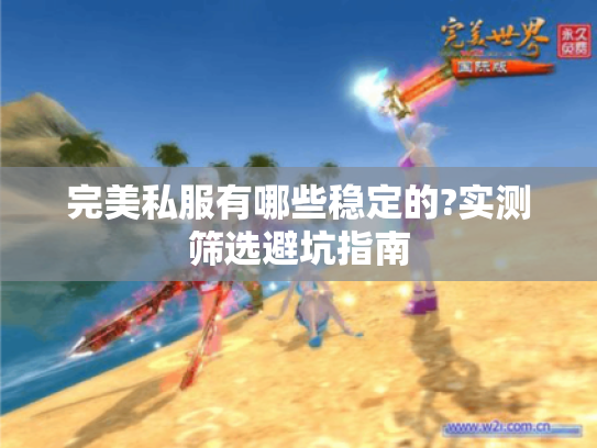 完美私服有哪些稳定的?实测筛选避坑指南