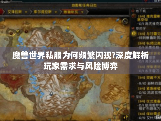 魔兽世界私服为何频繁闪现?深度解析玩家需求与风险博弈