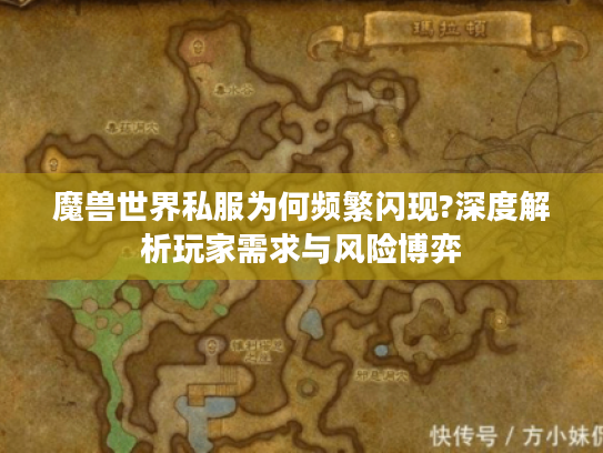 魔兽世界私服为何频繁闪现?深度解析玩家需求与风险博弈