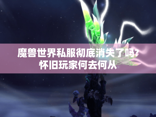 魔兽世界私服彻底消失了吗?怀旧玩家何去何从 魔兽世界私服彻底消失了吗?怀旧玩家何去何从
