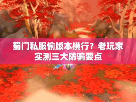 蜀门私服偷版本横行？老玩家实测三大防骗要点
