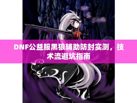 DNF公益服黑狼辅助防封实测，技术流避坑指南