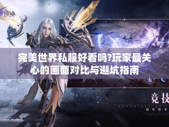 完美世界私服好看吗?玩家最关心的画面对比与避坑指南