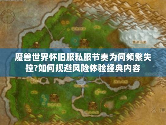 魔兽世界怀旧服私服节奏为何频繁失控?如何规避风险体验经典内容
