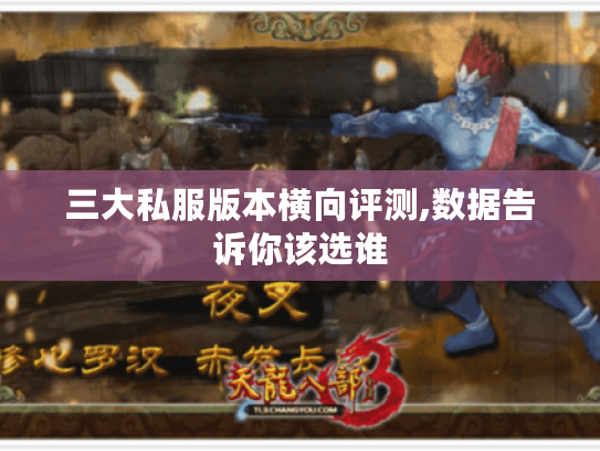 三大私服版本横向评测,数据告诉你该选谁