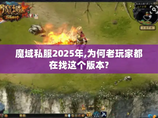 魔域私服2025年,为何老玩家都在找这个版本?