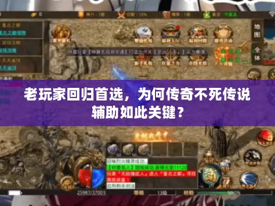 老玩家回归首选，为何传奇不死传说辅助如此关键？