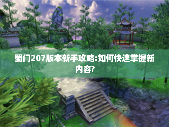 蜀门207版本新手攻略:如何快速掌握新内容?