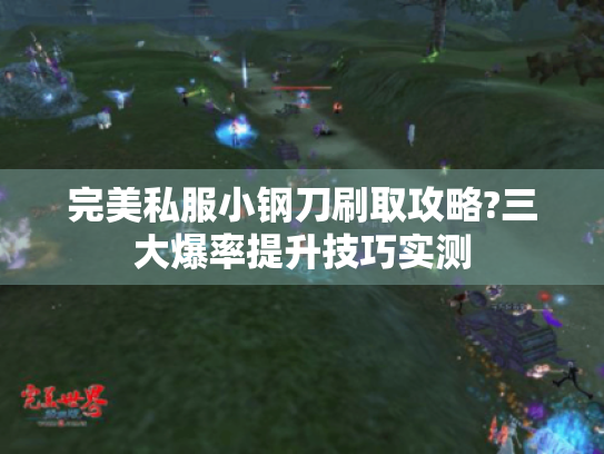 完美私服小钢刀刷取攻略?三大爆率提升技巧实测 完美私服小钢刀刷取攻略?三大爆率提升技巧实测