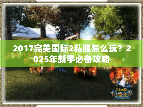 2017完美国际2私服怎么玩?2025年新手必备攻略 2017完美国际2私服怎么玩?2025年新手必备攻略