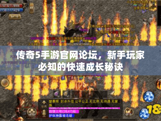 传奇5手游官网论坛，新手玩家必知的快速成长秘诀